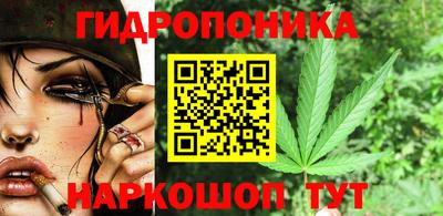 крисы Малоярославец