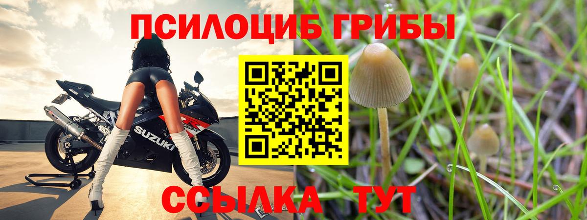 Псилоцибиновые грибы Cubensis  Вход с VPN  Шали  Псилоцибиновые грибы MAGIC MUSHROOMS 