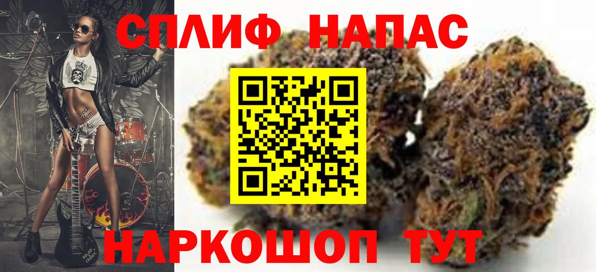 Канабис сатива Шали